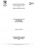 TRABAJO CASO GRUPAL ALPINA