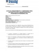 Ensayo de resistencia y Asentamiento