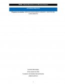 GESTIÓN ESTRATÉGICA DE LOS RECURSOS HUMANOS. ACTIVIDAD PRÁCTICA