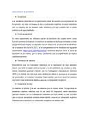 Discusiones de resultados