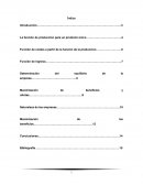 Teoría de producción y equilibrio de la empresa