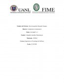 Competencia Comunicativa Actividad 2 y 3