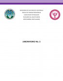 Desarrollo del adulto y vejez