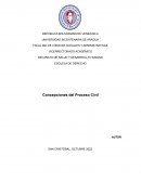 Concepciones del Proceso Civil