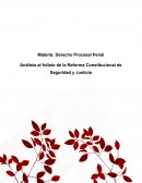 Análisis al folleto de la Reforma Constitucional de Seguridad y Justicia