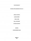 PLAN DE NEGOCIO PINTURAS HIPOALERGENICAS CDS S.A.S