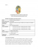 Determinar los factores de riesgos vinculados con la violencia en la ciudad de Ibarra