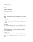 Características del Administrador; Caso juguetería entre cuates