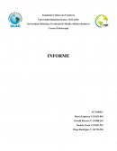 REFLEJOS Y NIVELES MEDULARES