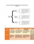 LOS DERECHOS HUMANOS EN EL MARCO PERSONAL Y EN EL EJERCICIO DE MI PROFESIÓN
