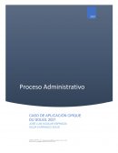 Análisis del Cirque du Soleil