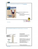Funcion cardiorespiratoria