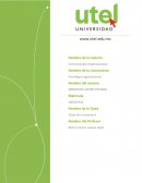 MODELO DE AUDITORÍA DE COMUNICACIÓN REDOX COLOMBIA S.A.S.