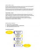 MISIÓN ESPAÑOL – INGLES