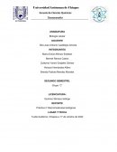 PRACTICA 2: MACROMOLECULAS BIOLOGICAS