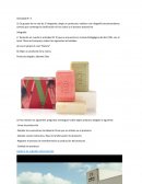 Taller producción : Jabones Ekos