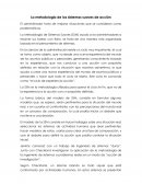 Metodologia de los sistemas suaves de accion