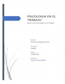 Psicologia en el trabajo reporte final