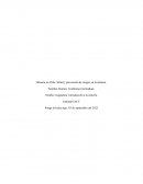 Minería en Chile. Salud y prevención de riesgos en la minería