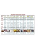 CUADRO COMPARATIVO DE LA EVOLUCION DE LA LITERATURA A TRAVÉS DEL TIEMPO