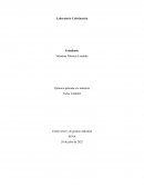 Informe calorimetria