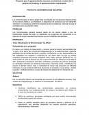 Proyecto para la generación de recursos económicos a través de la gestión de fondos y el apalancamiento empresarial