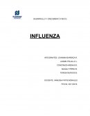 Desarrollo y crecimiento físico influenza