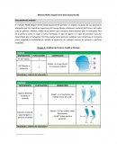 Método REBA: (Rapid Entire Body Assessmentt)