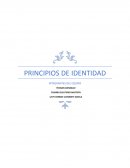 Principios de la Logica