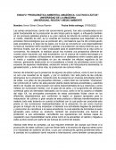 ENSAYO “PROBLEMÁTICA AMBIENTAL AMAZÓNICA: CULTIVOS ILÍCITOS”