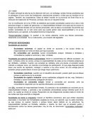 SOCIEDADES LEY 19950