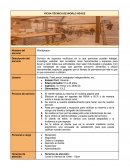 PLAN COMERCIAL FICHA TÉCNICA DE WORLD PEACE