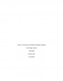 Escalas e Instrumentos de Medición Análogos y Digitales - Metrologia