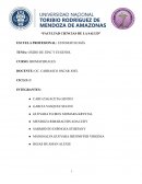 OXIDO DE ZINC Y EUGENOL