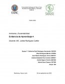 Ambiente y Sustentabilidad. Evidencia de Aprendizaje 4