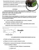 EVALUACIÓN LENGUAJE 1° BÁSICOS EXPRESIÓN ORAL