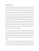 ESTRELLAS EN LA TIERRA