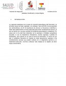 Factores de riesgo para desarrollo de Vaginosis Bacteriana en grupo blanco de los poblados Xicoténcatl y Lomas Alegres