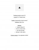 Aportes táctico-operativos a los procesos de intervención del trabajo social