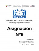 Programa Nacional de Formación en Higiene y Seguridad Laboral Asignación Nº9