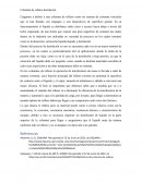 Columna de relleno destilación
