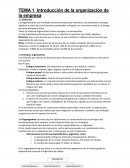 Introducción de la organización de la empresa