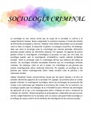 Sociología Criminal