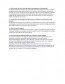 ¿Cuál cree Ud. Que fue la razón del éxito de esta empresa en el lanzamiento?