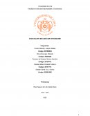 Estudio de mercado de chocolate sin azucar de la marca Sublime