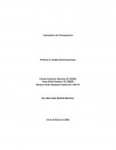 Práctica V. Celdas Electroquímicas