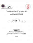 CULTURA DE PAZ EVIDENCIA 1 RESEÑA CRÍTICA CINEMATOGRÁFICA