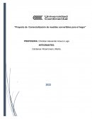 PROYECTO DE NEGOCIO MYPE IFB