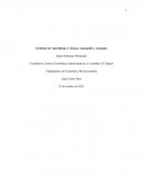 Monopolio y Economia