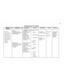 CRONOGRAMA DE ACTIVIDADES